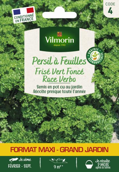 Aromatiques - Persil Frisé Vert Foncé race Verbo - Grand Modèle - face recto